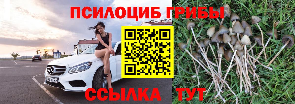 Псилоцибиновые грибы GOLDEN TEACHER Феодосия