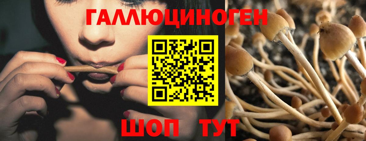 Псилоцибиновые грибы Psilocybine cubensis  Вход с VPN  Феодосия 